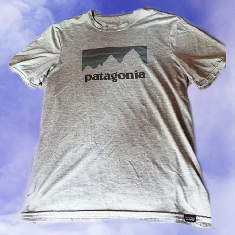 Patagonia T-shirt